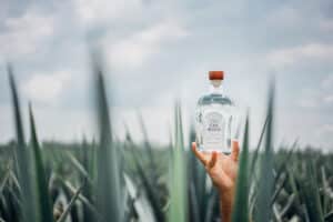 Hand holding a bottle of Casa Mexico Blanco Tequila