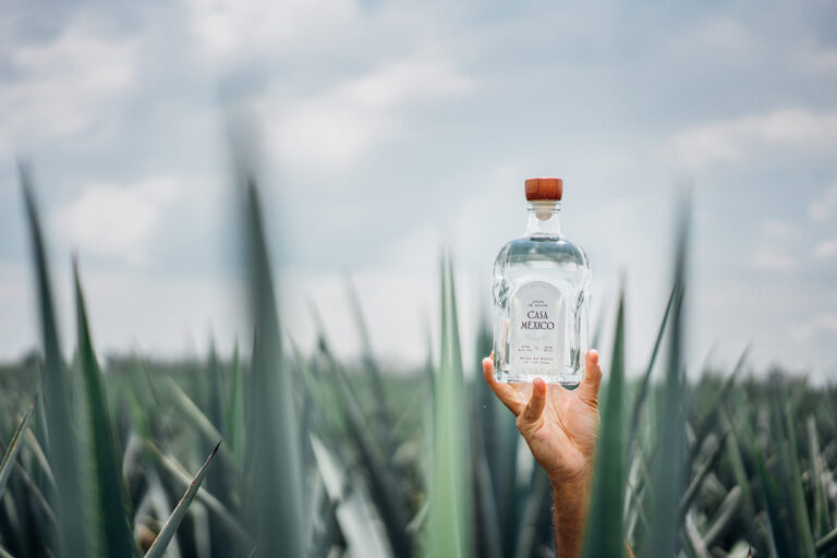 Hand holding a bottle of Casa Mexico Blanco Tequila