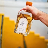 Hand holding a bottle of Casa Mexico Anejo Tequila