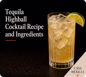 Tequila Highball Cocktail Recipe and Ingredients 2 Tequila Highball Cocktail Recipe and Ingredients