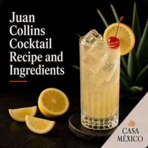 Juan Collins Cocktail Recipe and Ingredients 2 Juan Collins Cocktail Recipe and Ingredients