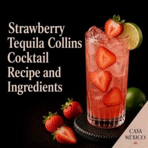 Strawberry Tequila Collins Cocktail Recipe and Ingredients 2 Strawberry Tequila Collins Cocktail Recipe and Ingredients