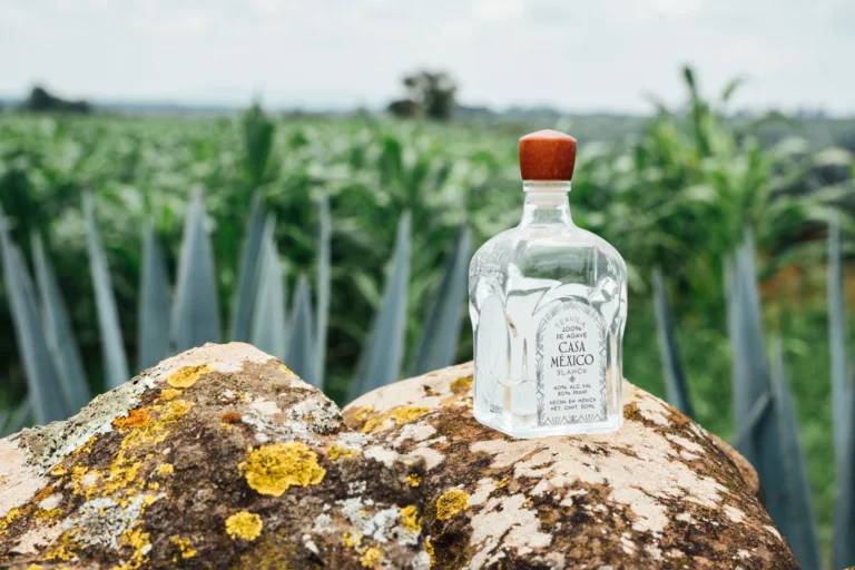 Casa México tequila bottle in a blue agave field, representing a lower calorie spirit choice for weight conscious drinkers