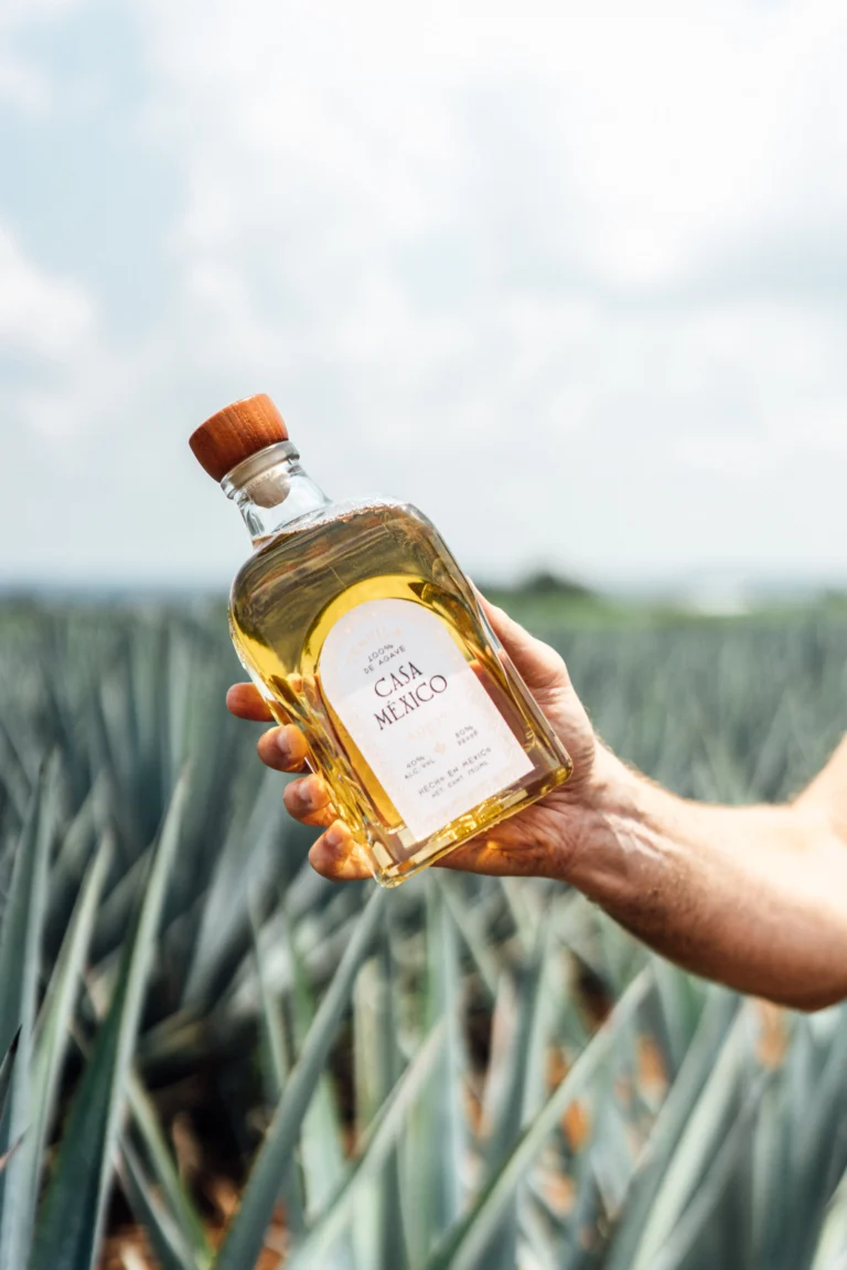 Hand holding a Casa México aged tequila bottle with amber liquid in front of blue agave plants