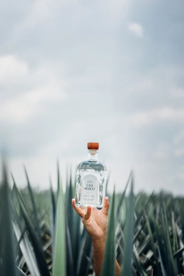 Casa México Blanco tequila bottle in front of a sunny blue agave field, the base spirit for a frozen pineapple margarita