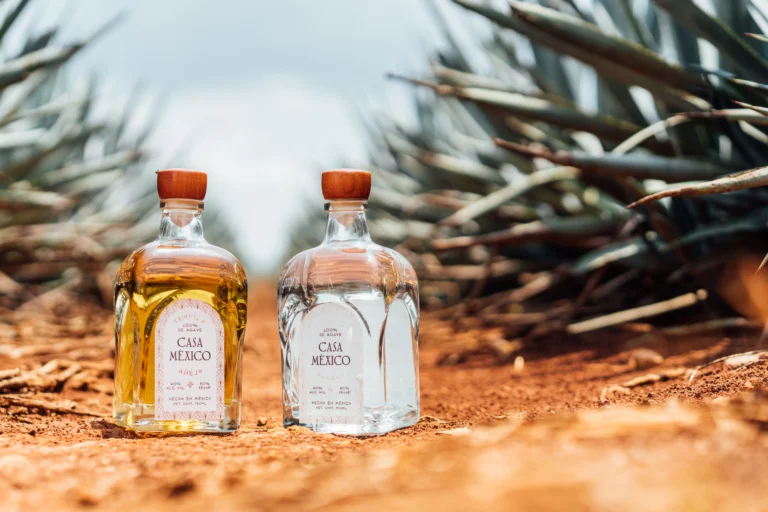 Casa México tequila bottles standing together with wooden stoppers, showing tequila as a distilled agave liquor