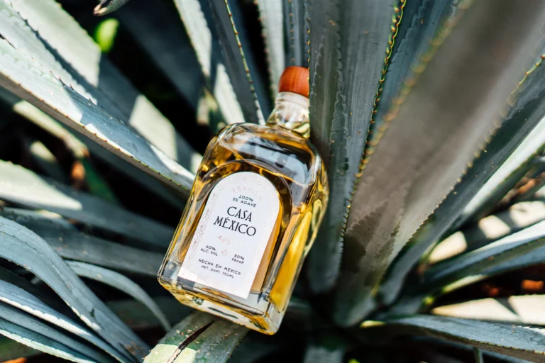 Casa México Añejo tequila bottle resting among blue agave leaves, with amber tequila visible through the glass